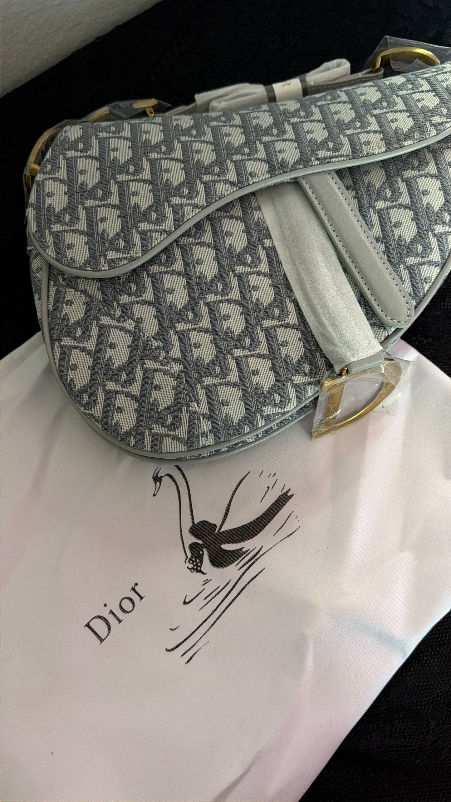 Dior inspired purse (pre order)